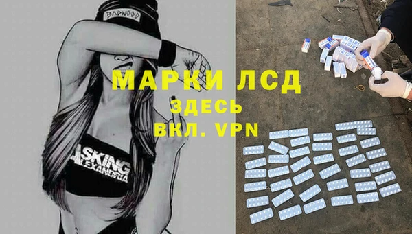 apvp Аркадак