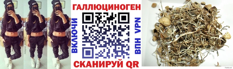 нарко площадка клад  Спас-Клепики  KRAKEN ссылка  Галлюциногенные грибы Psilocybine cubensis  где продают  